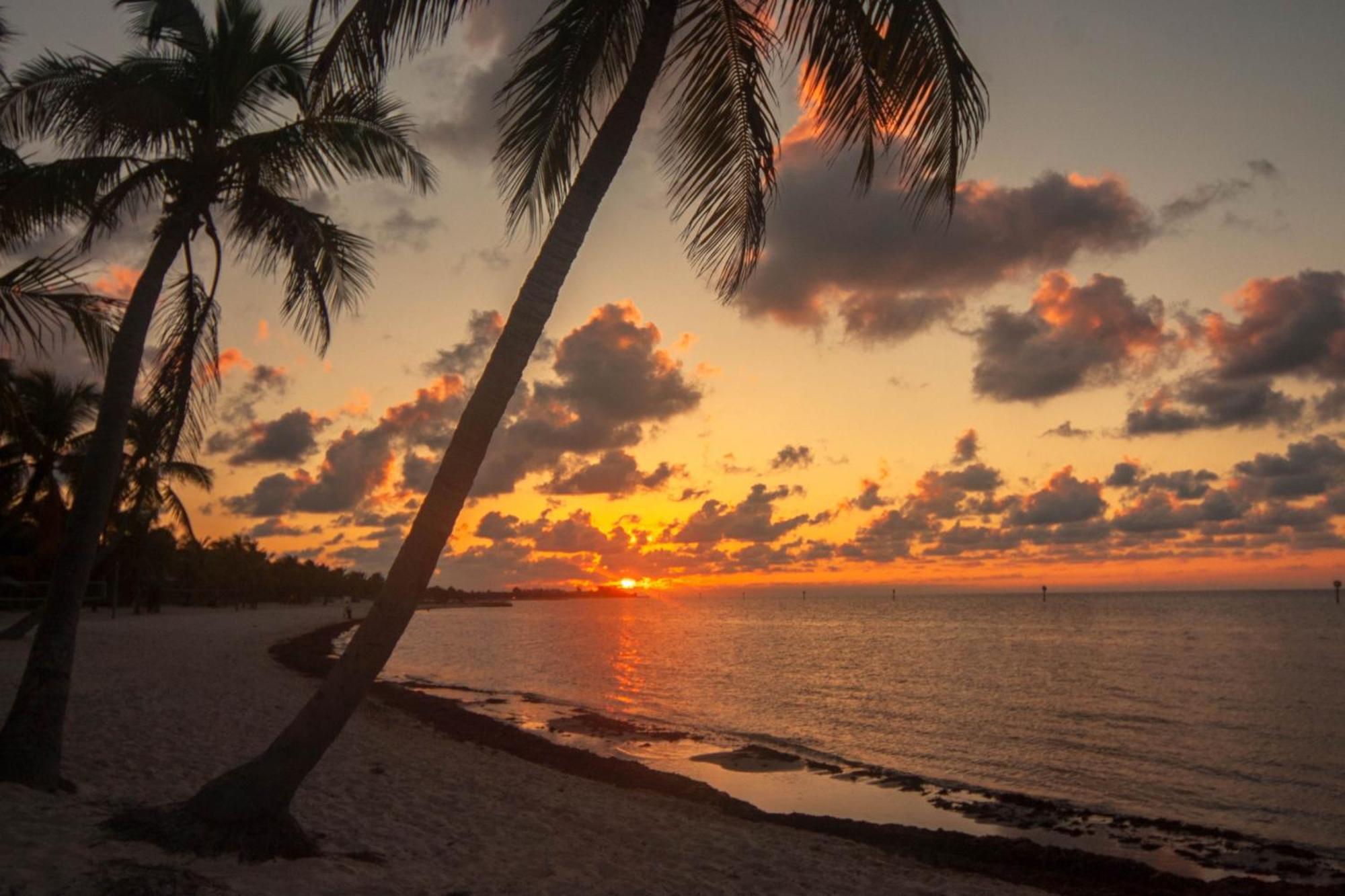 Truman Key West Quarto foto